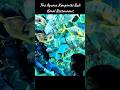 水族館レストランに来ました #kempinski #bali #koral #aquarium
