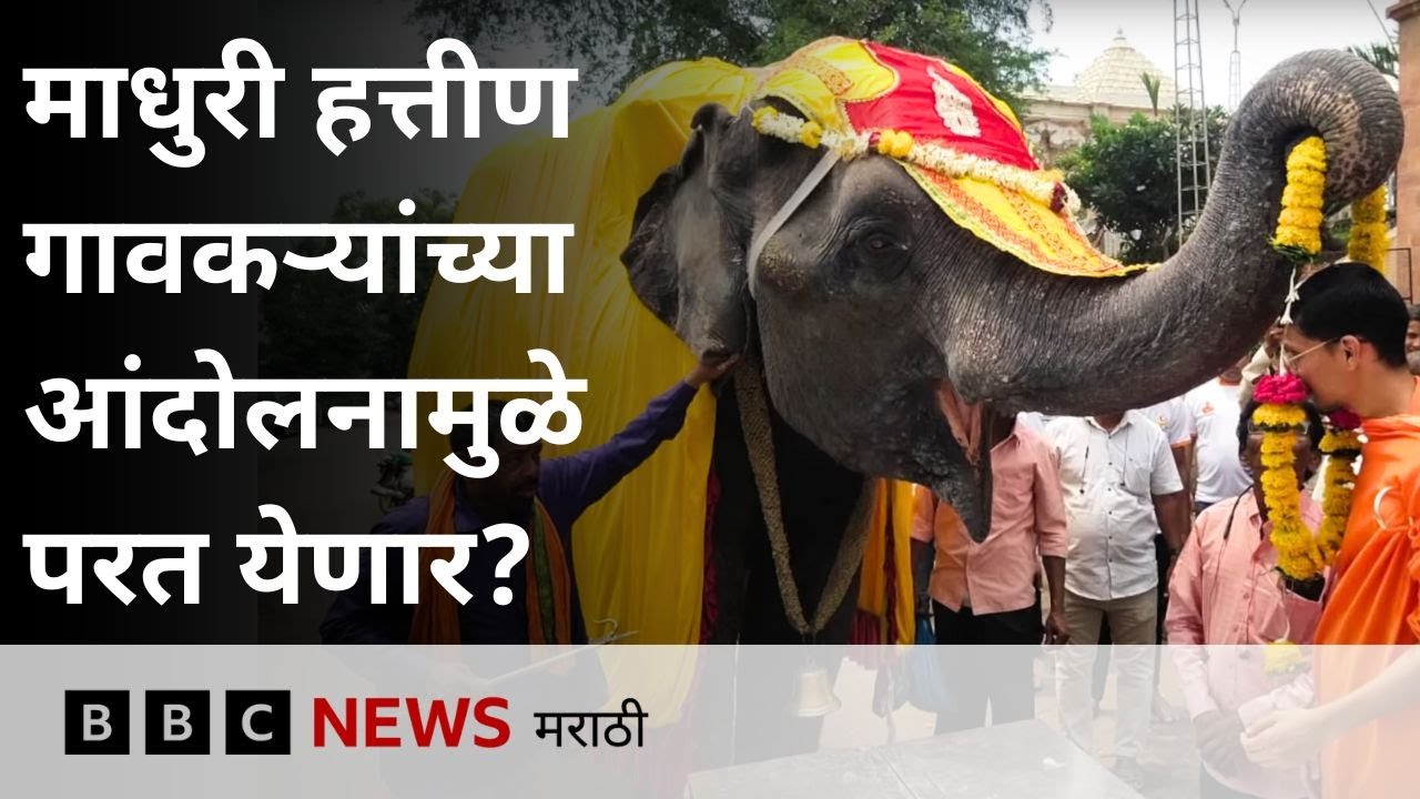 Kolhapur Madhuri Elephant : कोल्हापूरची माधुरी हत्तीण गावकऱ्यांच्या आंदोलनाने वनतारातून परत येणार?