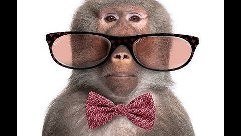 Monkey Mode - [Official music video]