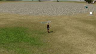 Bug Metin2ro