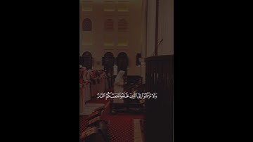 تلاوة جميلة بصوت الشيخ أنس العمادي #shots #اكسبلور #انس_العمادي #quran #ترند