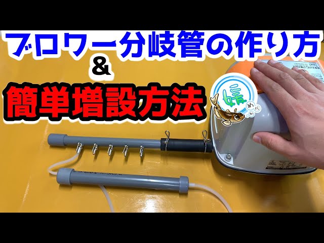 エアーブロアー　メダカ メダカにエアレーション！オススメのブロワー(エアーポンプ)は、浄化槽