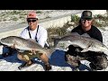 Our Biggest INSHORE SLAM From Land! Tampa Bay Flats Fishing