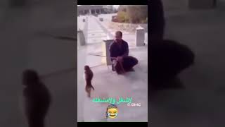 رياكشن لا شغل ولا مشغله