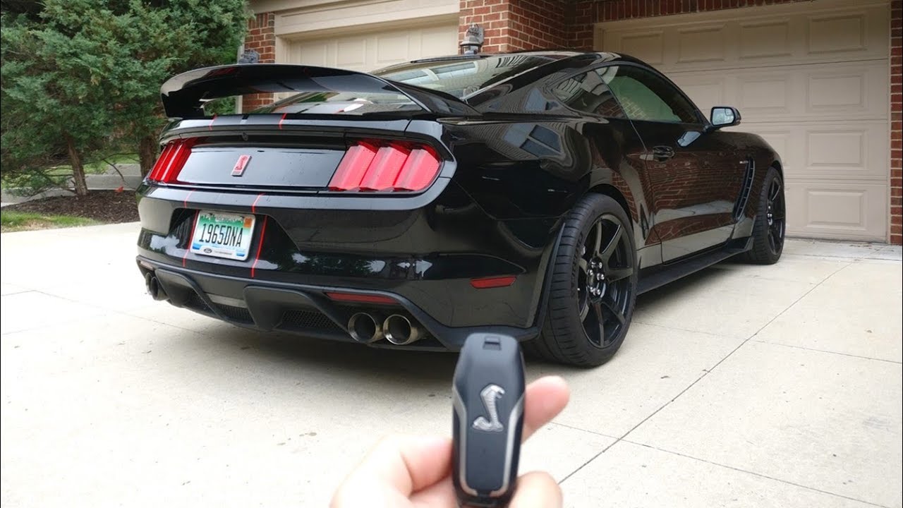 Living With A Shelby GT350R!