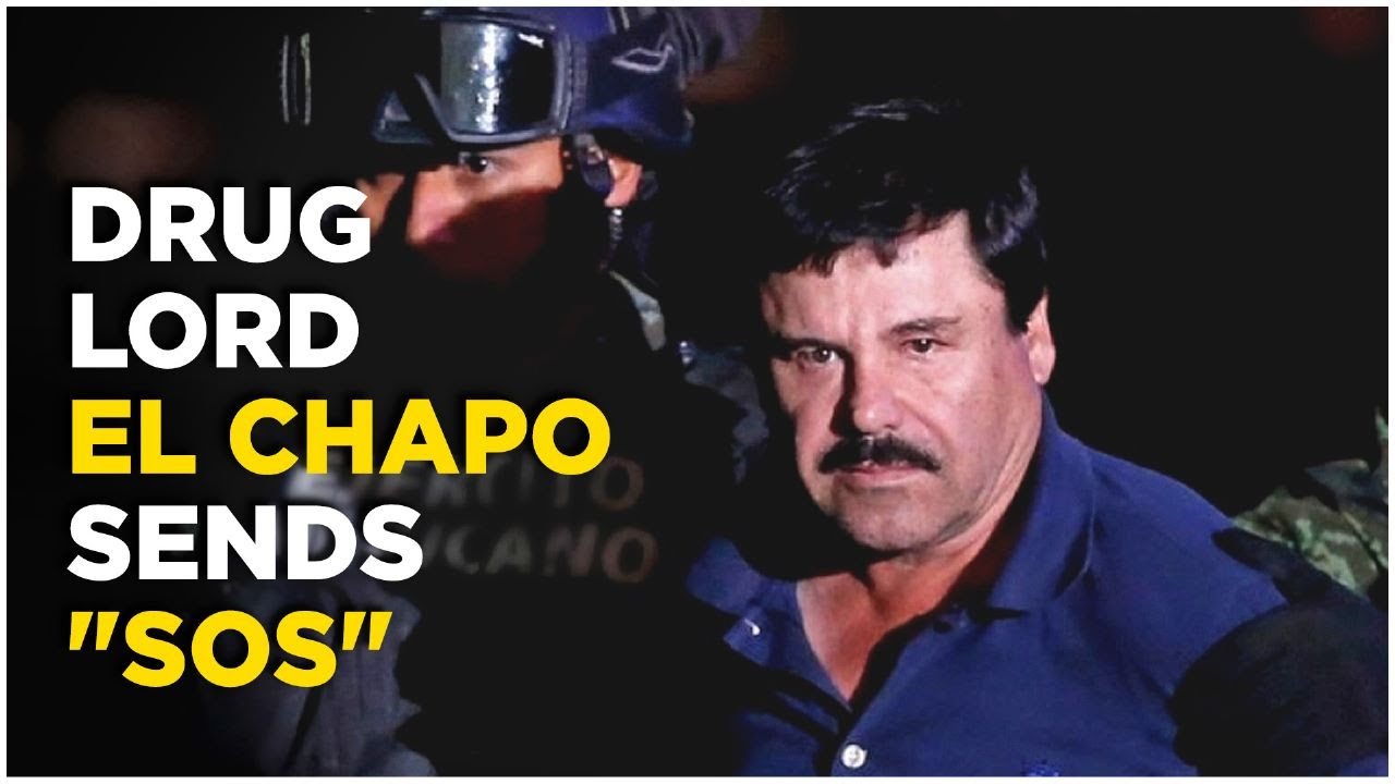 El Chapo News Live Guzman Begs Mexico President, Urges Him To Pull