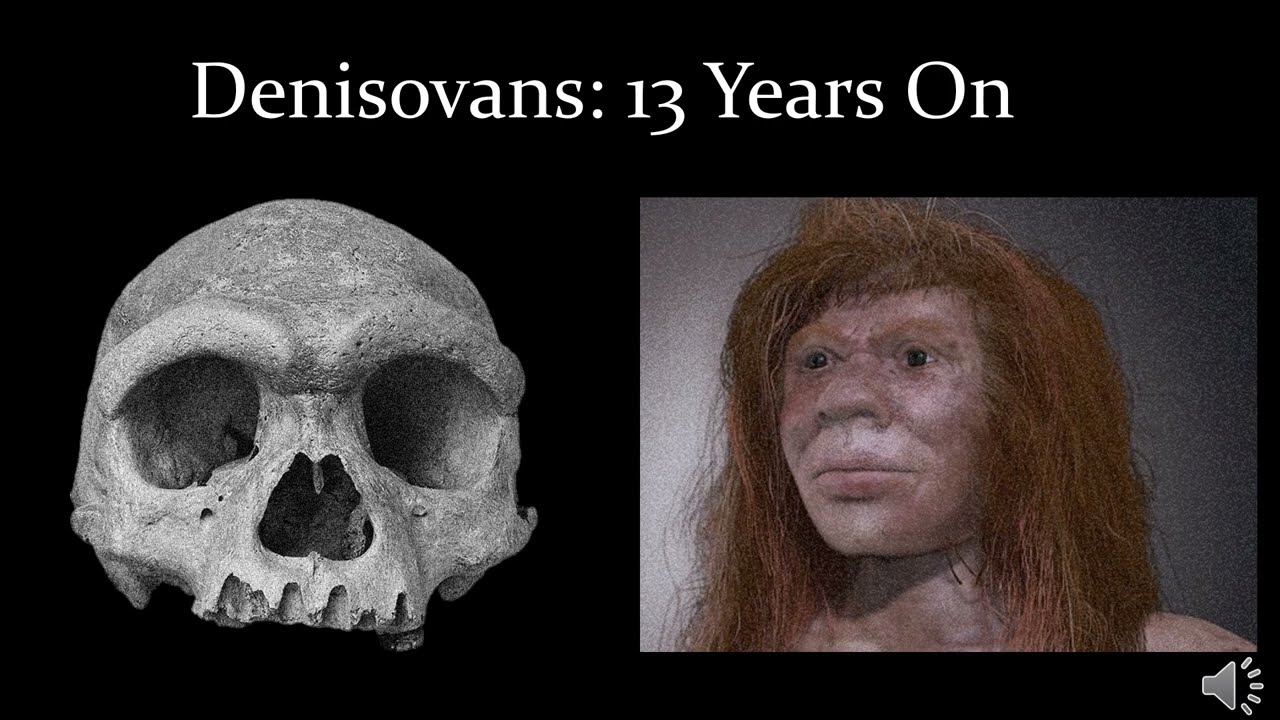 Denisovans and their DNA