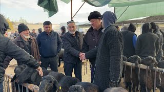 : Qoqon ot va q~oy bozori bugungi narhlar bilan tanishing 5.11.2025yil