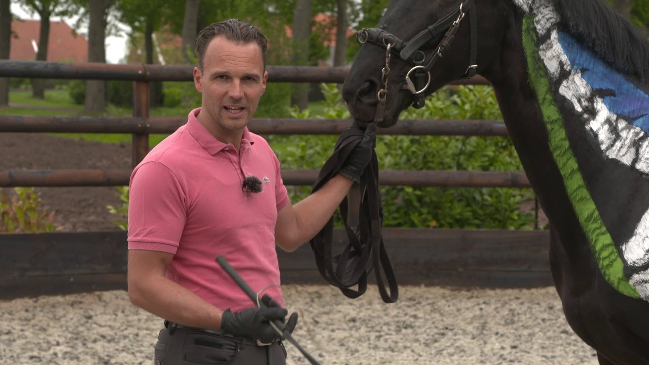 Working in Hand Preview 12 - NL