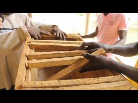 How To Construct Kenya Saltpond Topbar Bee Hives Peace Corps Ghana Youtube