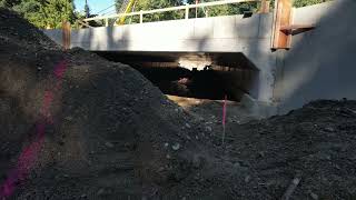 Lyon Creek Fish Passage - Complete