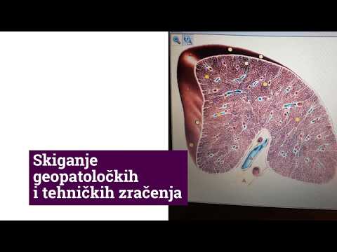 Kvantna Medicina KVANT: Zdravlje u harmoniji frekvencija!