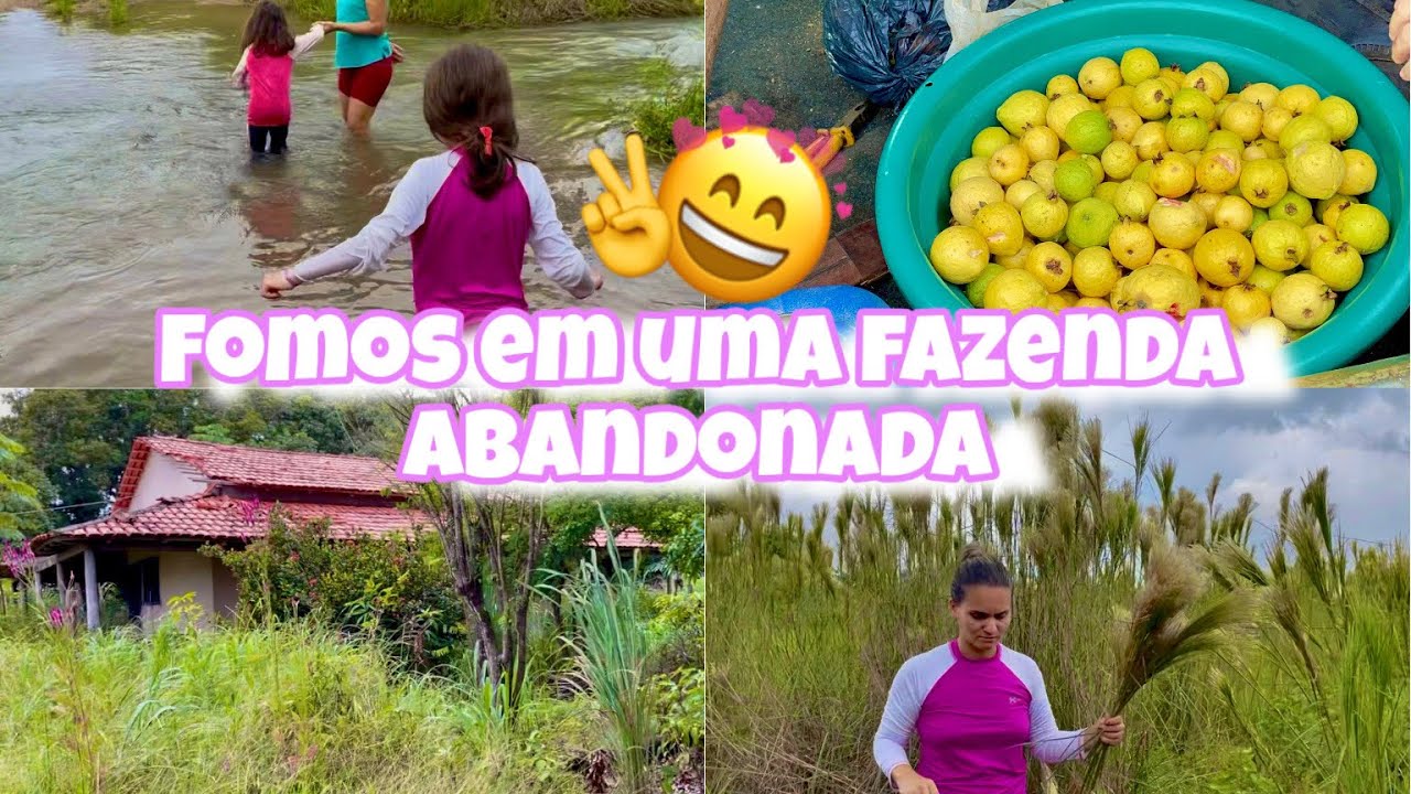 COLHEMOS GOIABA / TINHA UM RIACHO NA ESTRADA  