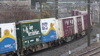 【JR貨物】遅１０８７レ ＥＦ８１-４０４ 日通ＳＧＳ積載