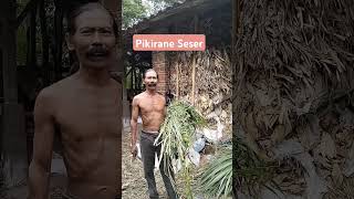 Pikirane Seser klowakklawuk pikirane Seser pikiran pemikiran