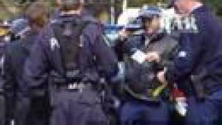 Chaser arrested at APEC summit