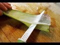 Tutorial: Fare il GEL d' ALOE vera in casa | Chiara Monique