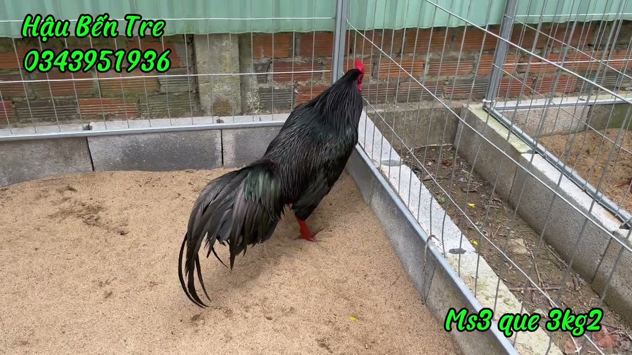 Mời ae xem kham khảo hợp mất hú hí em nha 