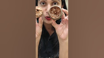 Facts about Female cone of gymnosperms #gymnosperms #cone #seeds #botany #femalecone #archanarathi