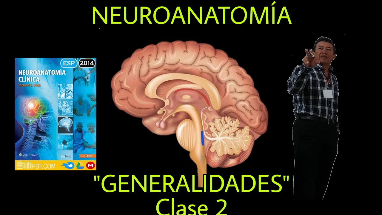 Neuroanatomia: Clase 2 "Generalidades" (parte 1)