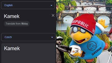 Kamek in different languages meme (Part 1)
