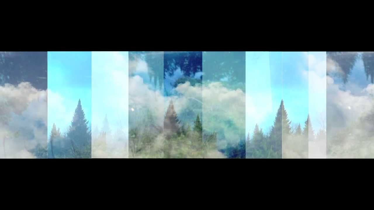 Watch GOLD ZEBRA - Love, French, Better (Official Video) on YouTube