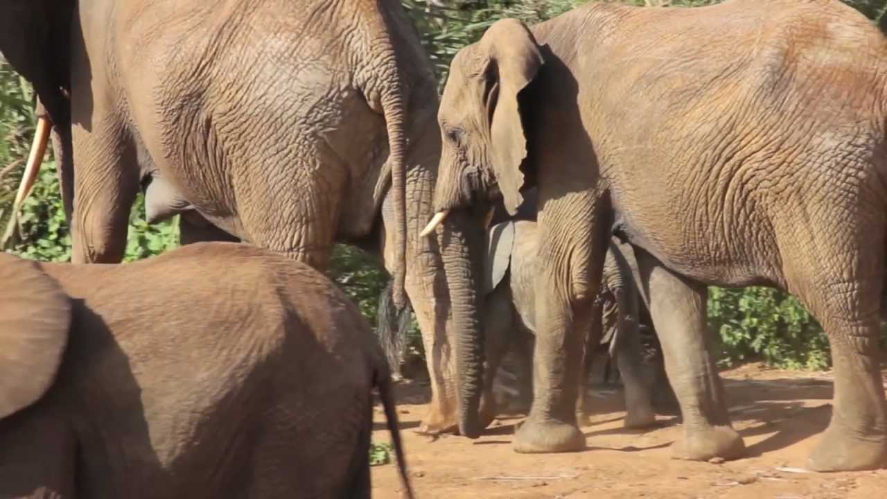 Familiereis Kenia en Tanzania | Sawadee Reizen