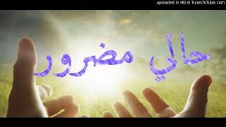 أغنية حالي مضرور الشيخ الزوالي سمعها