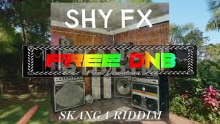 Shy FX ~ Skanga Riddim