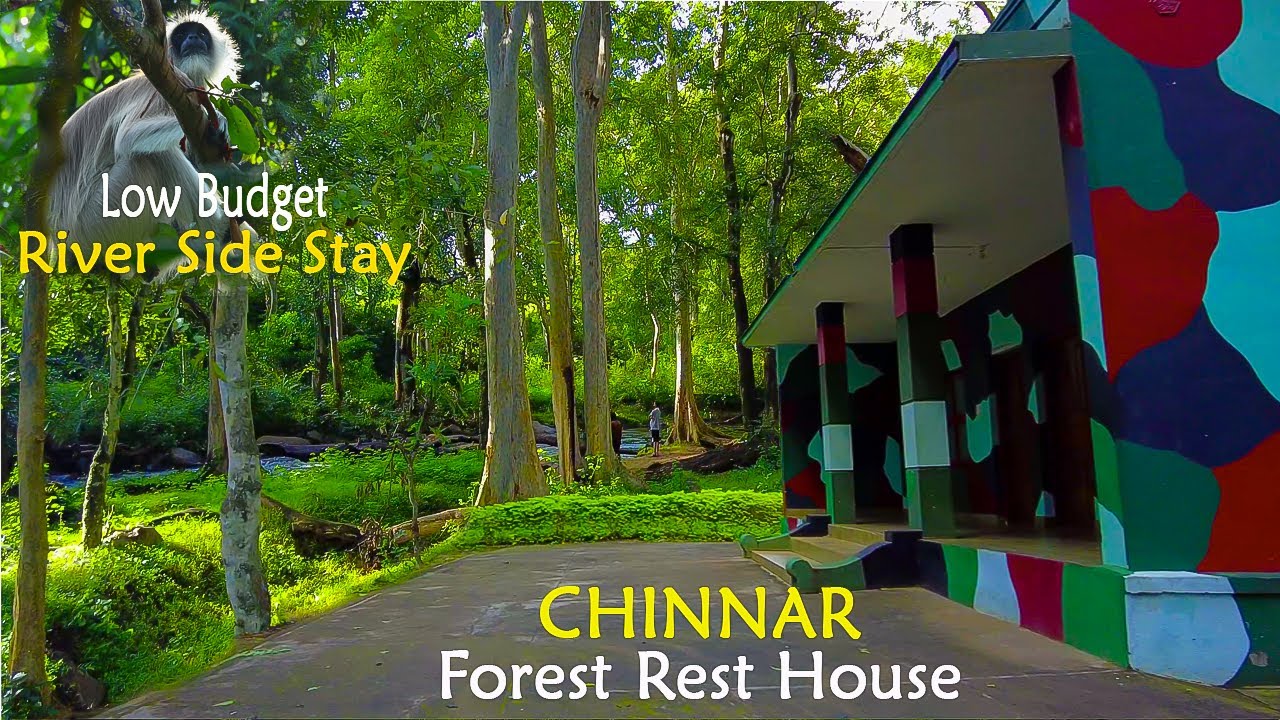 Chinnar Rest House @Petsandtravelwildlife