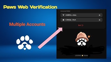 I Tried Paws Web Verification For Multi-Accounts