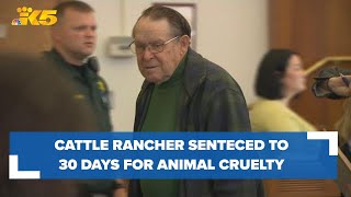 Skagit County rancher whose cattle were left to starve sentenced to 30 days in jail