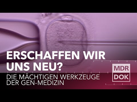 Video: Warum ist Bekah nach der Schule gegangen?