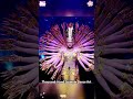 Thousand-Hand Guanyin Dance Art#fyp #dance #art #foryou
