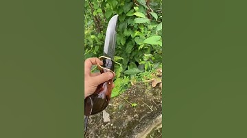 Hãy mô tả em nói bằng 1 từ …. | Dao phúc sen