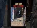 犬が突然固まった理由のサムネイル