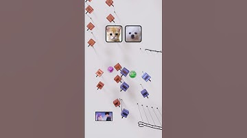 [Free] Cat vs Dog #shorts