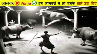 ऐसे खतरनाक जानवरों से 100 कदम दूर रहने में ही भलाई है | Most Watched New Series Part -182 Best
