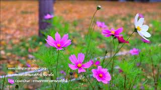 200530A2-4 ปฏิบัติกลับด้าน
