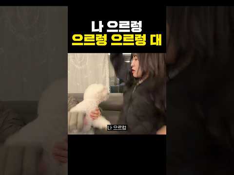 나 <strong>으르렁</strong> <strong>으르렁</strong> <strong>으르렁</strong> 대