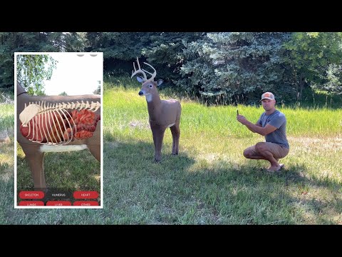 Why Does AR Anatomy Move on QuivAR Targets? Find Out Here! - video from QuivAR
