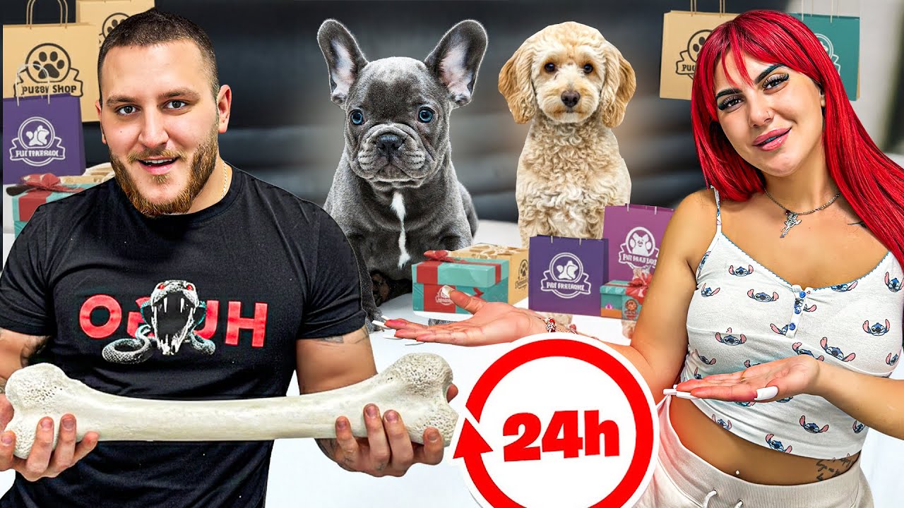 24H USREĆUJEMO PSA!