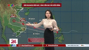Dự báo thời tiết 11h30 - 04/11/2025 | Bão Kalmaegi sắp đi vào Biển Đông | VTVWDB