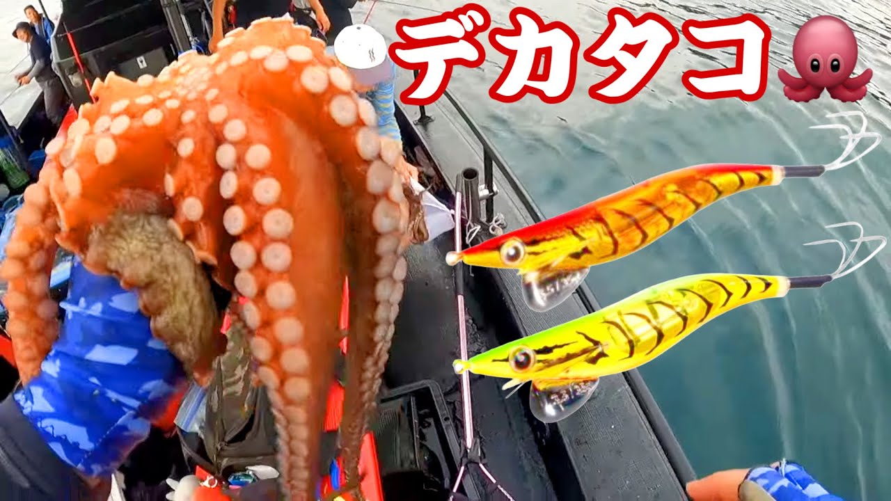 【タコ釣り】爆釣セット‼️エギ10本　ケース付き‼️フラッシュブースト‼️明石で実績‼️ タコ釣り】爆釣セット‼️エギ10本 ケース付き‼️フラッシュ