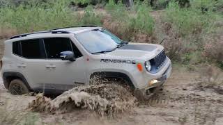 jeep renegade offroad team gr #renegade #jeep#offroad