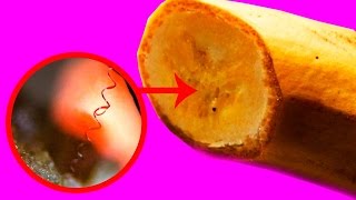 Do you like bananas? You gonna be shocked to see how they look under the microscope.