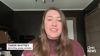 WATCH: Schools should teach teens how to fact-check misinformation, researcher says