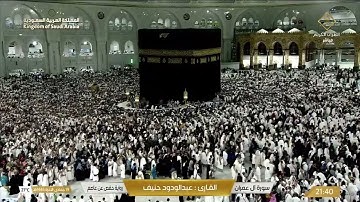 ما تيسر من سورة آل عمران بصوت القارئ عبد الودود حنيف