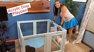 LoveTail Acrylic Puppy Playpen for Indoor & Outdoor Use