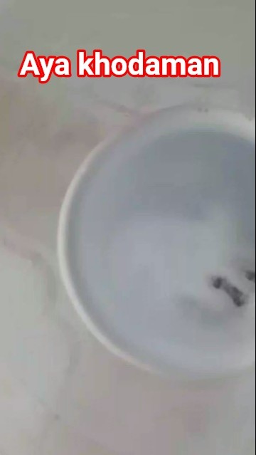 tebak khodam #beranda#ducang#muncangadu